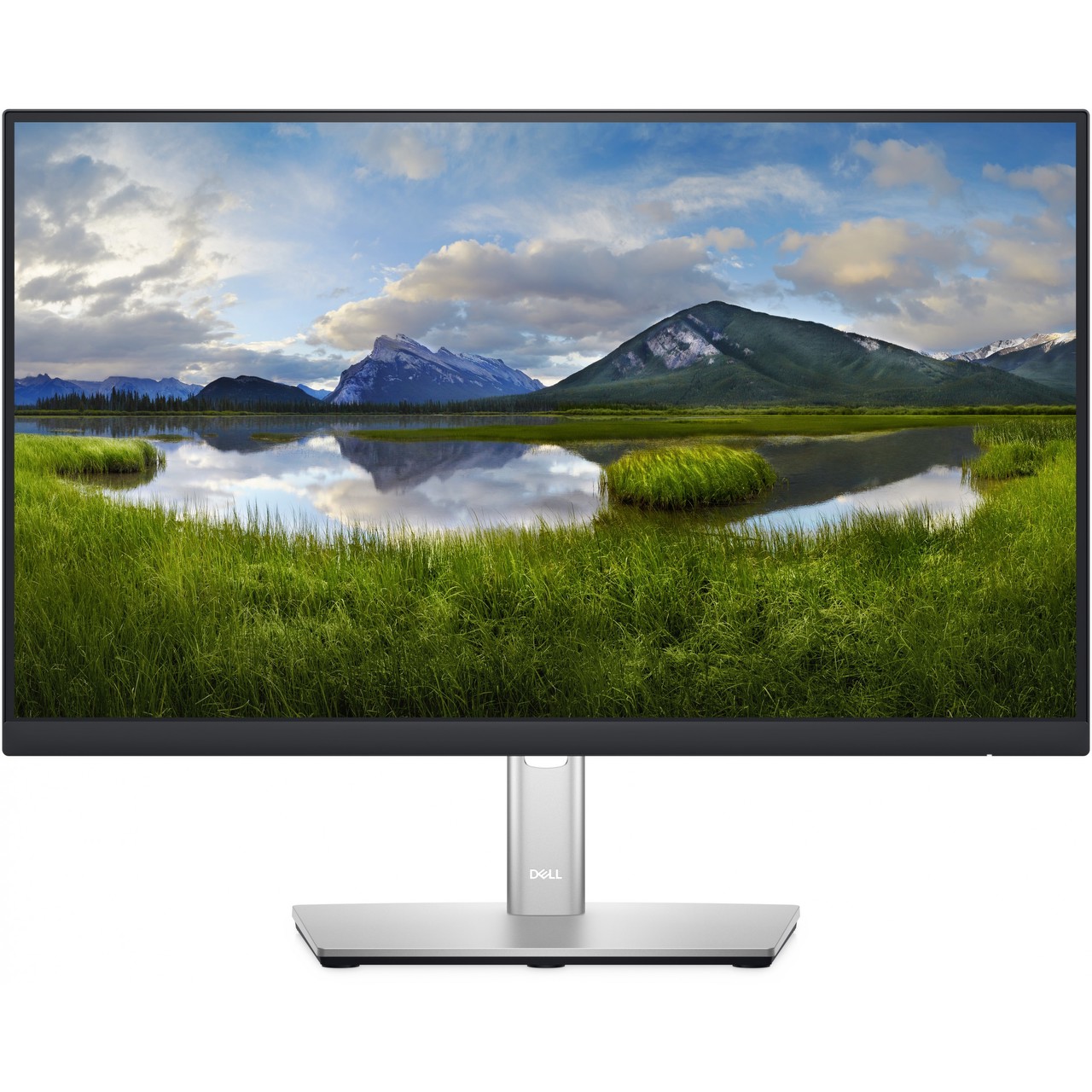 Dell P2222H, LED-Monitor