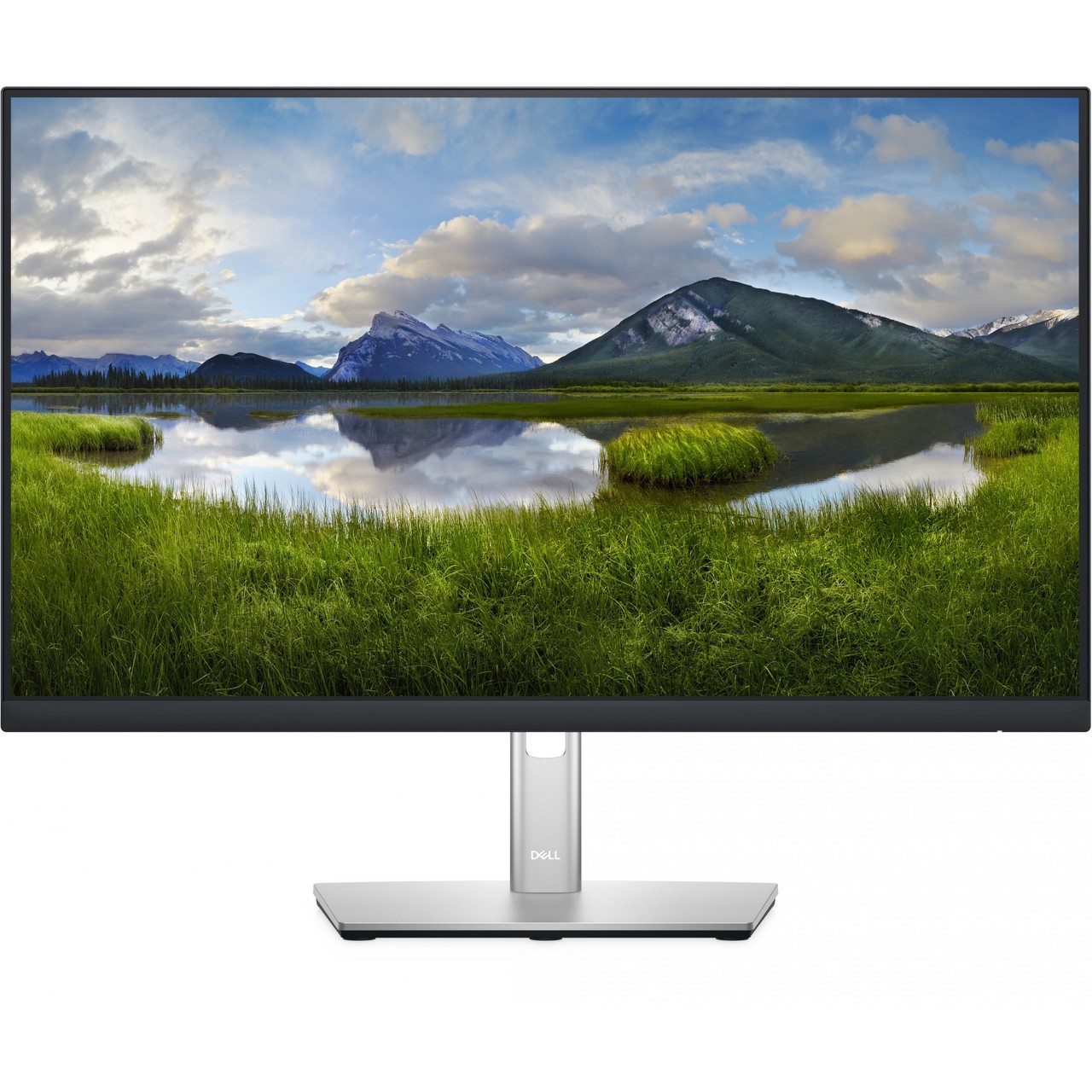 Dell P2422H, LED-Monitor