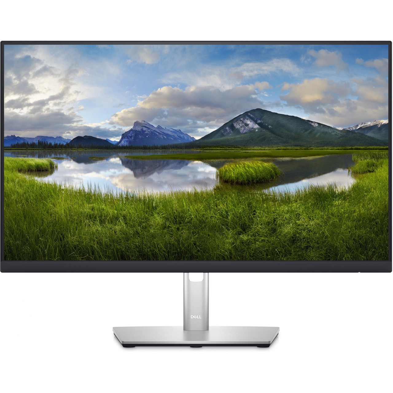 Dell P2423DE, LED-Monitor