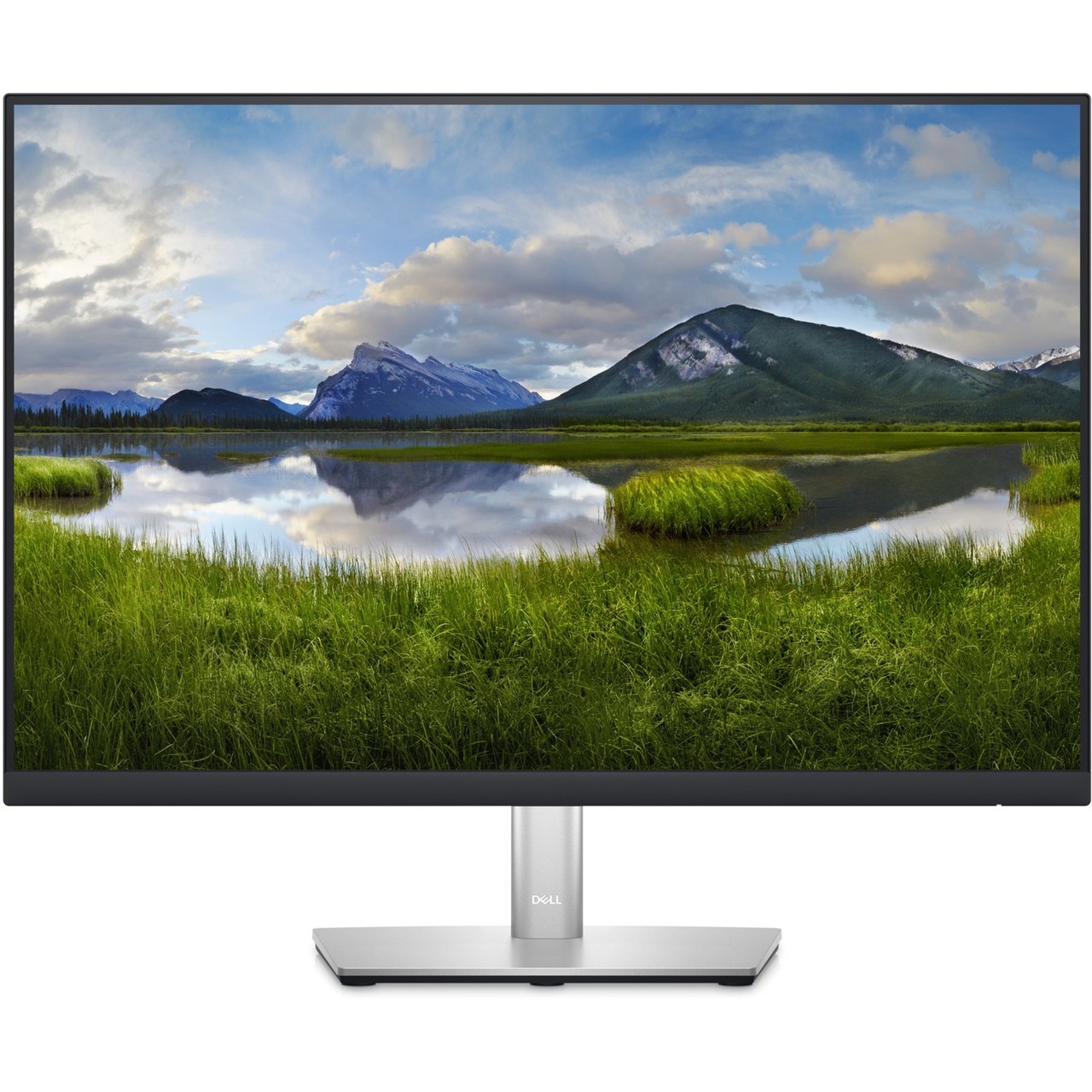 Dell P2423, LED-Monitor